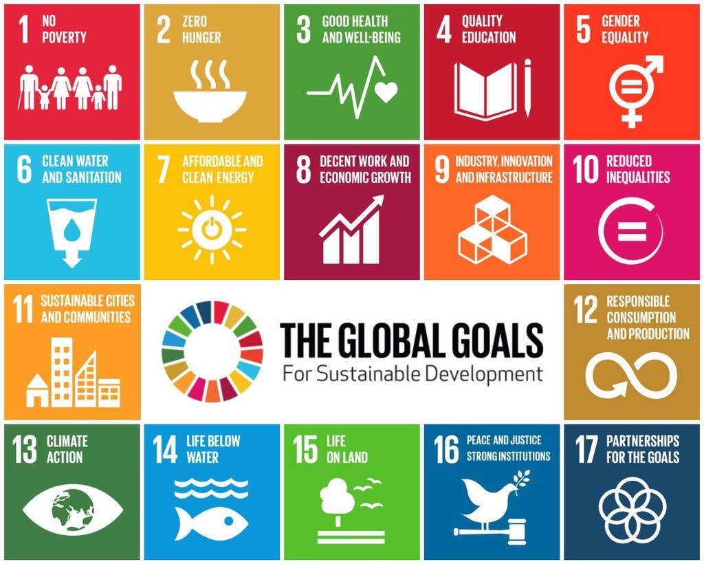 17 Global Goals for Sustainable Development World Leaders have committed to 17 Global Goals to achieve 3 extraordinary things in the next 15 years.