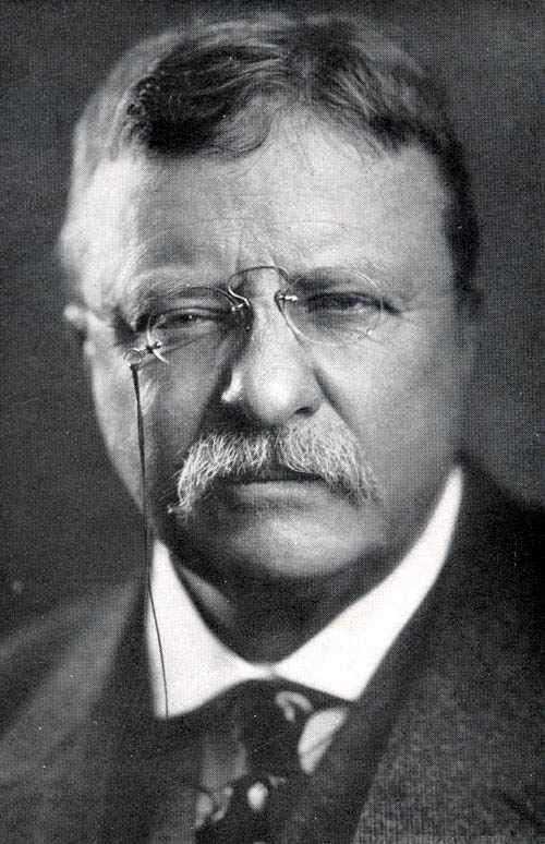 President Theodore Roosevelt Considered a liability by Republican Party leaders Disliked both excessive