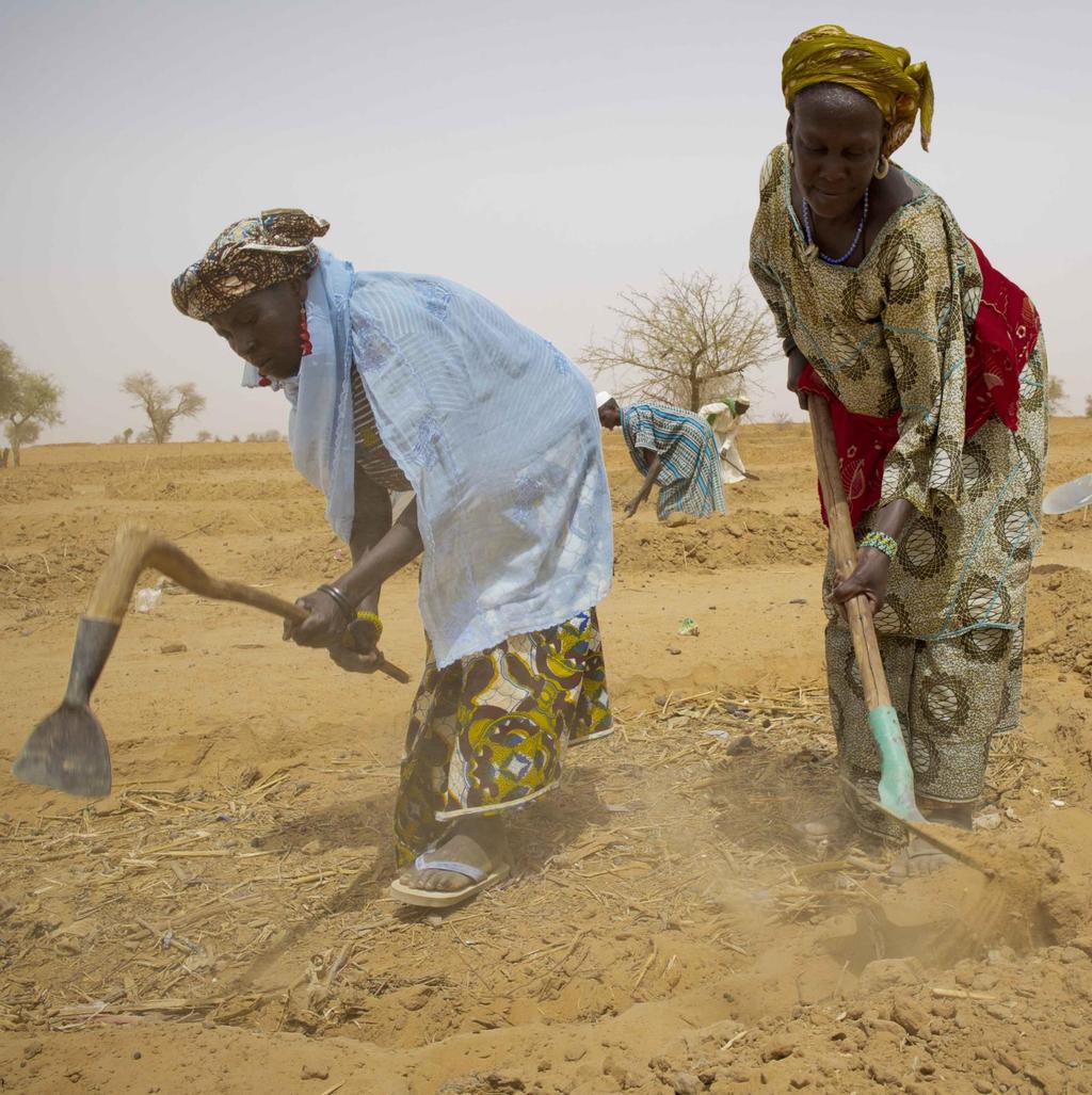 SAHEL Report on 2013 Humanitarian Operations Burkina Faso, Chad, the