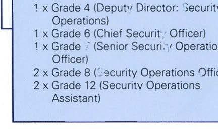 Operations Officer) Grade 8 (Security Operations Officer) Grade 12