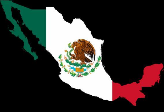 ATTENTION FOR MEXICANS MIGRANTS ABROAD CONSISTS IN: REPATRIATION OF SERIOUSLY ILL NATIONALS Provide the necessary