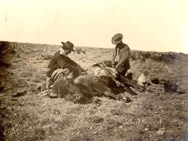 The White Man s slaughter of the bison or buffalo accelerated the process of removing the Indians from their tribal