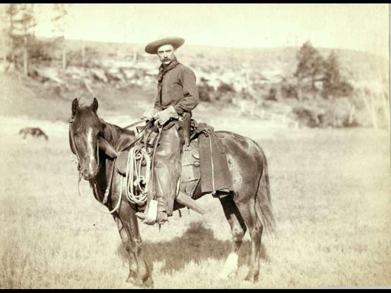 What ended the great cattle drives?
