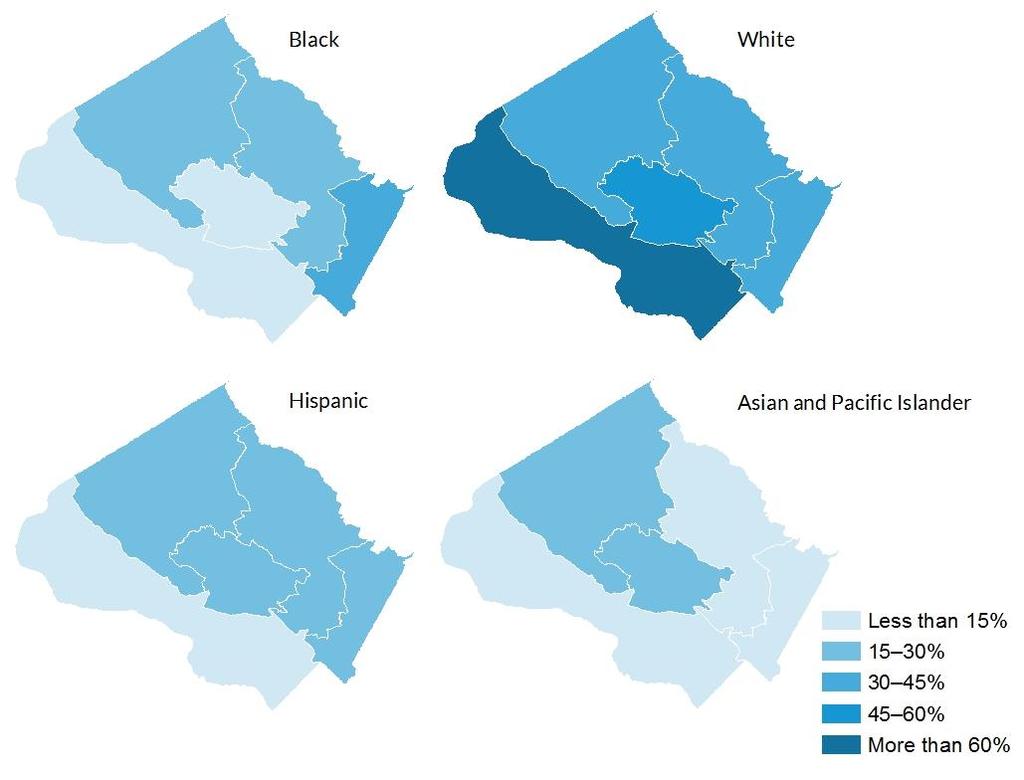 The demographic distribution in the five county council districts varied widely (figures 2 and 3).