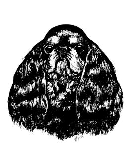 English Toy Spaniel Club of America, Inc. Uniting fanciers and promoting the breed Constitution and By Laws (August 2008) Constitution Article I (Name and Objects) Section 1.