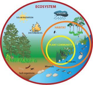 Geography Ecosystem system formed by the interaction of all living organisms with each other.