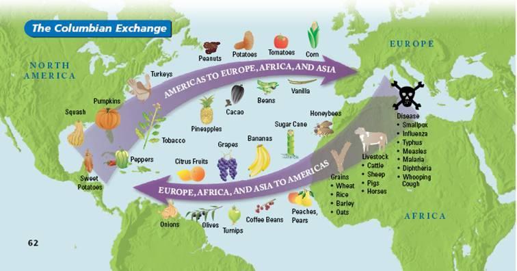 U.S. History Columbian Exchange The major changes in all areas