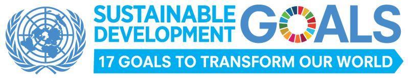 Target 16.4 of the 2030 Agenda for Sustainable Development Target 16.