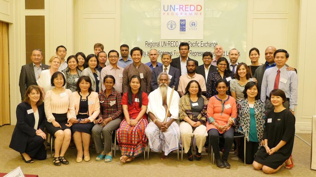 Information Note Civil Society and Indigenous Peoples Organizations Role in REDD+ Introduction One of the seven safeguards adopted by the UNFCCC (the Cancun Safeguards ) is the full and effective