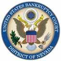 UNITED STATES BANKRUPTCY COURT DISTRICT OF NEVADA SUMMARY OF BANKRUPTCY LOCAL RULE CHANGES The United States Bankruptcy Court s local rules were updated on January 1, 2016 pursuant to General Order