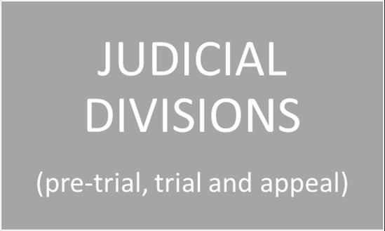 STRUCTURE PRE-TRIAL DIVISION - composed of the President and 4 other judges (proceeding is held in full chamber) TRIAL DIVISION composed of not less than 6