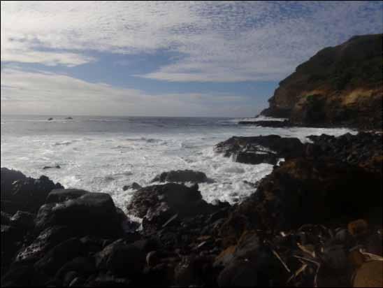 Examples of SPC work in Pitcairn Islands Supporting Pitcairn s sustainable development through integrated coastal zone management Right: Coastal ecosystems are vulnerable to biodiversity loss,