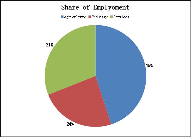 Shares of GDP & Employment Source : Punjab