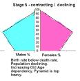 The Demographic Transition Model explained Stage 5: Prediction Birth rates fall below death rates leading to a decline in population.