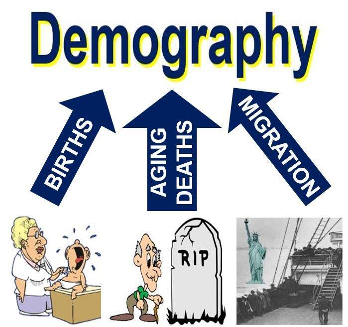 Demography Demography is the study of human population. Population is a dynamic open systems with inputs, processes and outputs.