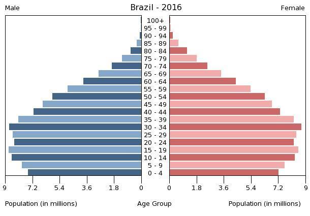 Brazil s population pyramids show that although the birth rates and infant mortality rates are still high, they are