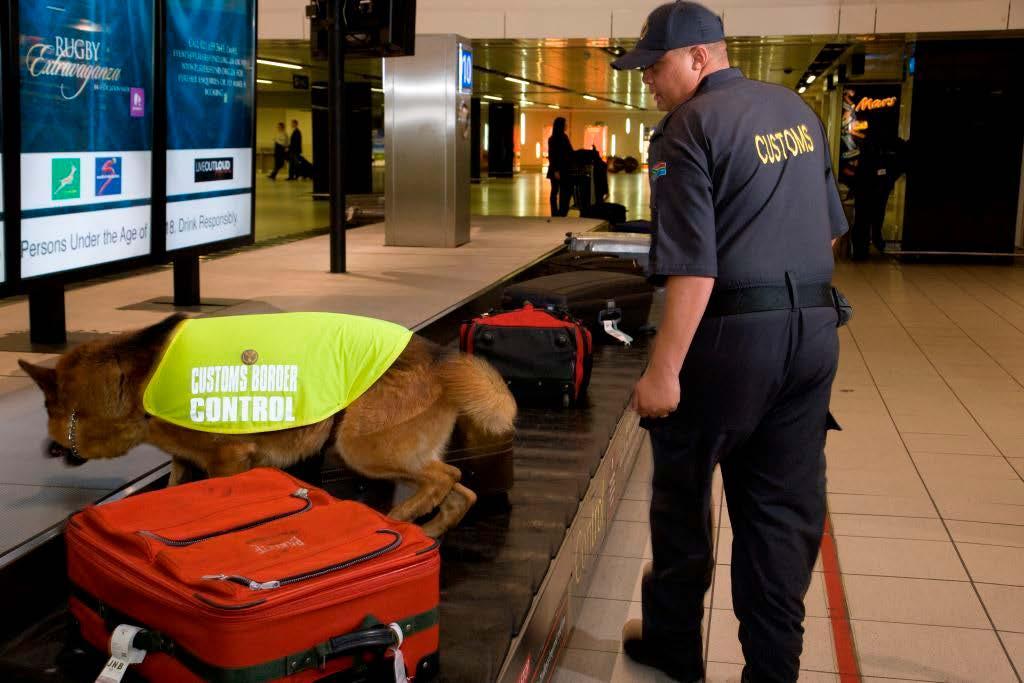 SOUTH AFRICA Hidden narcotics detection Dodge searching for hidden narcotics in luggage on carousels SA customs border control detector dog handler Charlton la Vita with narcotics / tobacco detector