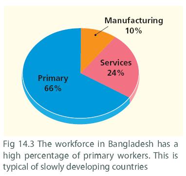 The pie-chart shows the percentage of workers in Bangladesh working in