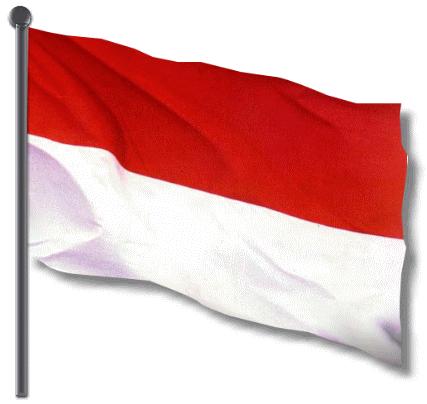 INDONESIAN DEMOCRACY: TRANSITION
