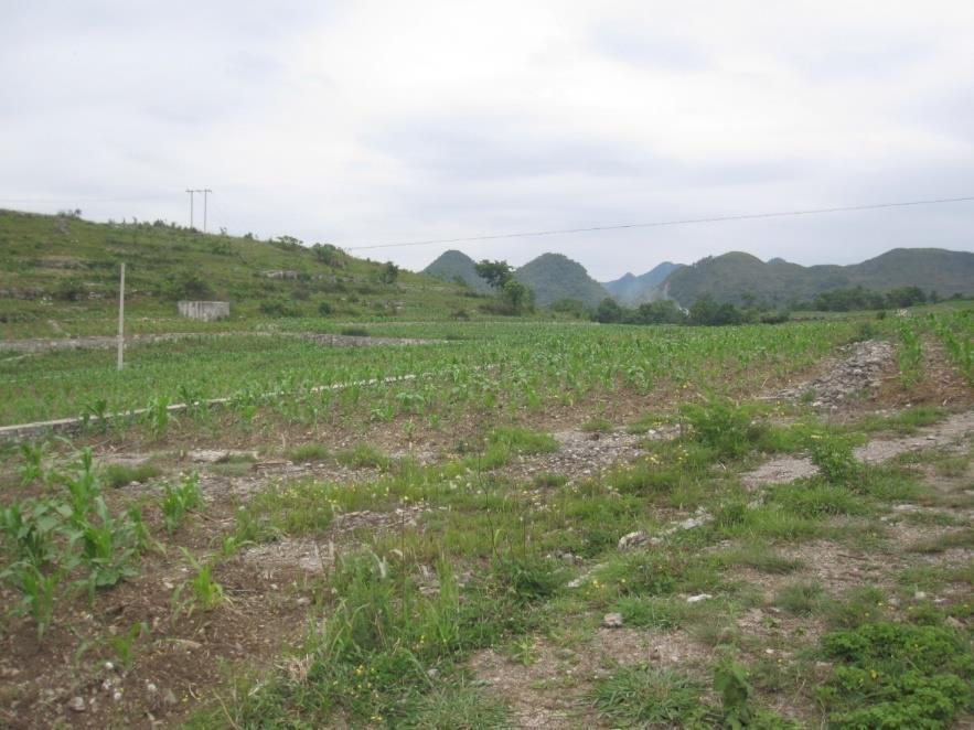 Figure 7: Current Resettlement Site of Xiaoqianxiang, Qianxiang Street Administration Office Figure 8: Current Resettlement Site of Liangtai, Puping Township (Original Getang