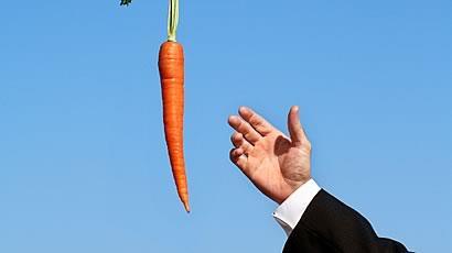 FISCAL FEDERALISM ( THE CARROT ) Fiscal federalism is the model of spending, taxing, and providing grants in the federal government system.