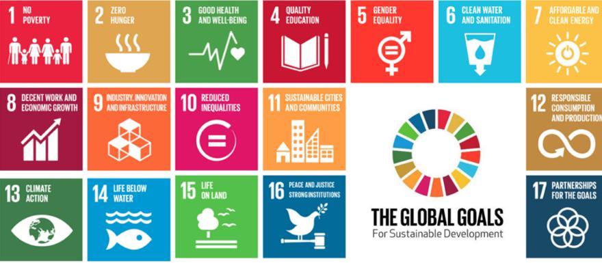 One of the few organizations to try to integrate all three of the pillars of sustainability is the United Nations.