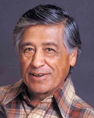 **Cesar Chavez moved from field to field to organize farm workers into the **United Farm Workers