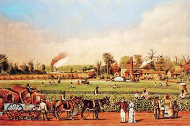 A plantation is a large farm. N W E S Thirteen Colonies The original thirteen colonies were on the east coast.