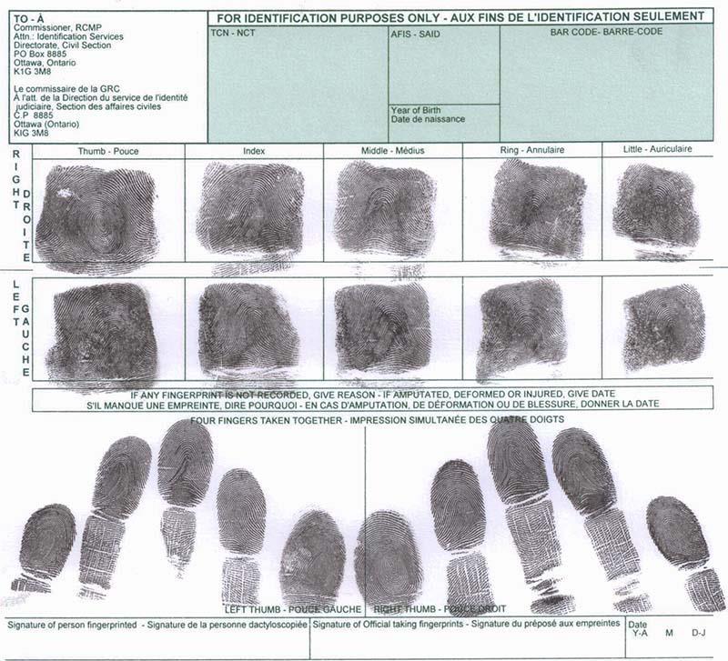 Example of Correct Fingerprint Placement *NOTE: When taking the FLAT impressions of the FOUR FINGERS ensure you