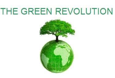 The Green Revolution The Green Revolution produced