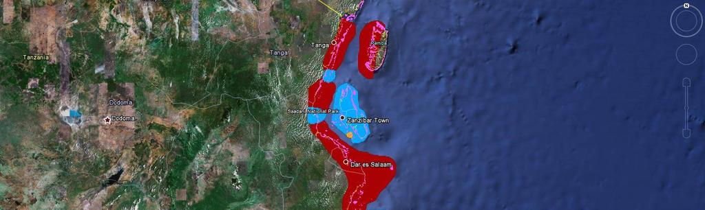 Tanzanian coral reefs threatened by rampant
