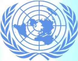 Branch United Nations Statistics Division