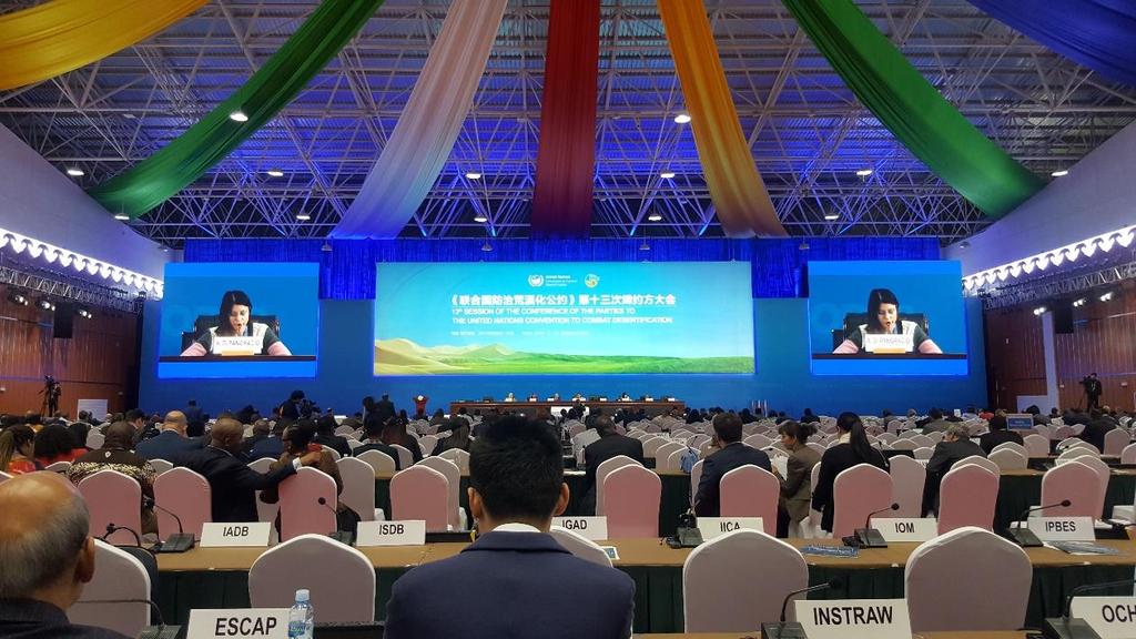 During COP13 of the UNCCD selected representatives of civil society organisations presented their successful efforts on combating land degradation with focus on both adaptation and mitigation at the
