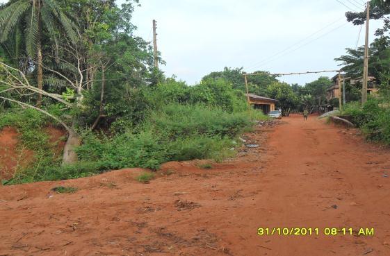 The most prominent of the existing gullies within Abagana is the Umudunu gully running through Uruokpala, Uru and Adagbe villages and cutting off two major access and trading link roads between