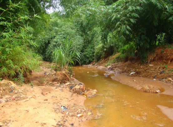 Figure 6-6: Adagbe Section of the Gully as it Meanders toward the Ozowata/Oshoku Outfall Figure 6-7: A Section of the Silted Ozowata/Oshoku Stream 6.2.