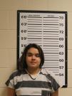LASARTE, SHEILA Fort Peck Tribes Adult Corrections 45-6-101(5) - Criminal Mischief On FWP Owned Or