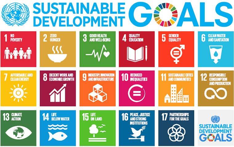 Some challenges in implementing SDGs SDGs are the globally accepted goals, but will be realized locally. Diverse stakeholders: e.g., countries, regions, municipalities.