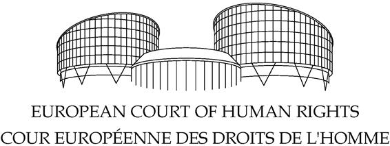 issued by the Registrar of the Court ECHR 045 (2017