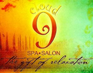 Example: Cloud 9 List Building Ø Independent day spa and salon in
