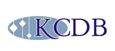 Towards KCDB 2.0 2.0 Future possible options were also studied: Web Content Accessability (WCAG 2.