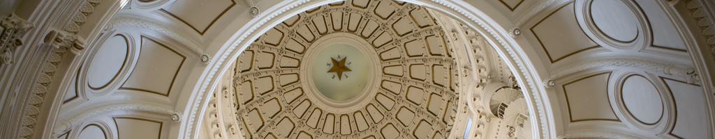 GOVERNMENT RELATIONS SERVICES Texas Legislative Associates understands the intricacies of Texas government and has shown significant success in working with both the Legislature and state agencies.