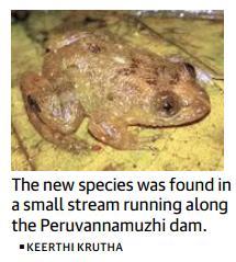 Prelims Focus Facts-News Analysis Page-5-New night frog species found Nyctibatrachus mewasinghi was discovered in thewestern Ghats