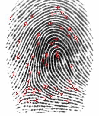 3 Fingerprint recognition Analysis on Current Activities for Korean e-passport 1 Image