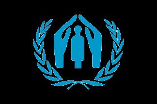 United Nations Involvement: Although a fairly recent issue, the United Nations specifically the United Nations High Commissioner for Refugees has been extremely active in Geneva-based conventions