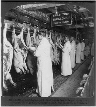 Meat Inspection Act 1906 law that required