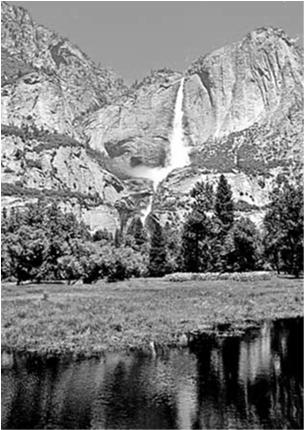 Lobbied for the creation of Yosemite