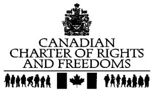 Government should promote respect and equality for all Citizens Rights Every Canadian citizen has the exact same individual rights.