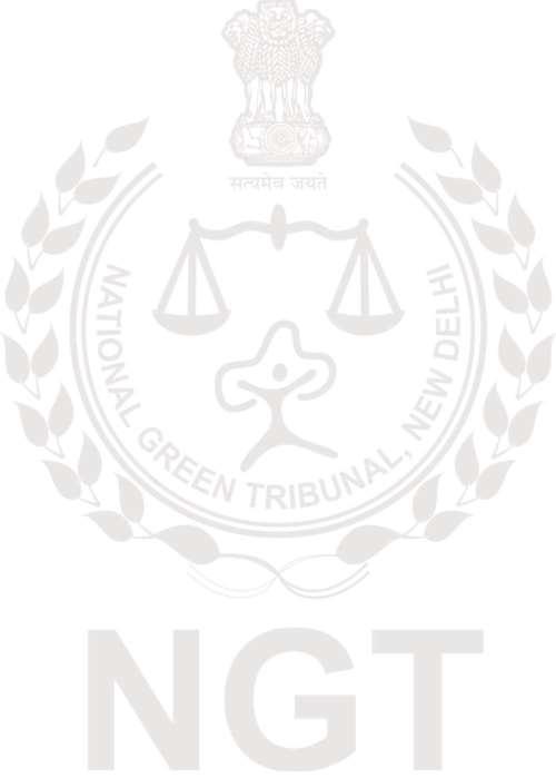 BEFORE THE NATIONAL GREEN TRIBUNAL SOUTHERN ZONE, CHENNAI Application No.