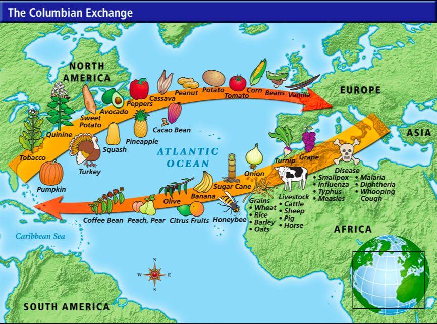 d. Columbian Exchange Named for Christopher Columbus Exchange of goods