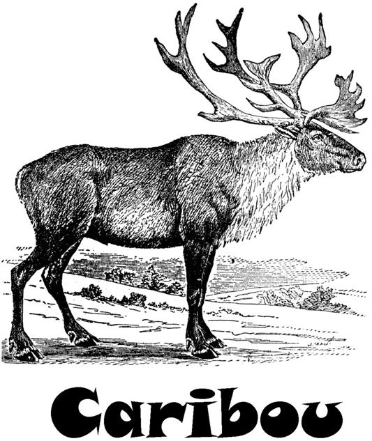 Annex I, Appendix 4 to EO MX01.01H Sorry! The caribou is considered a Canadian symbol, but it s not the one you re looking for. Keep trying!